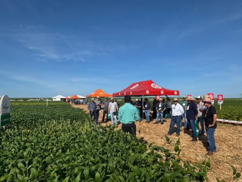 TECNOLOGIAS EM CAMPO: Dia de campo da Coapa fomenta a inovação e o conhecimento para uma agricultura mais sustentável